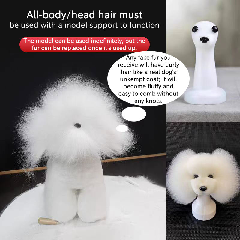 Tête d'Entraînement Toilettage Chien – Modèle pratique pour débutants