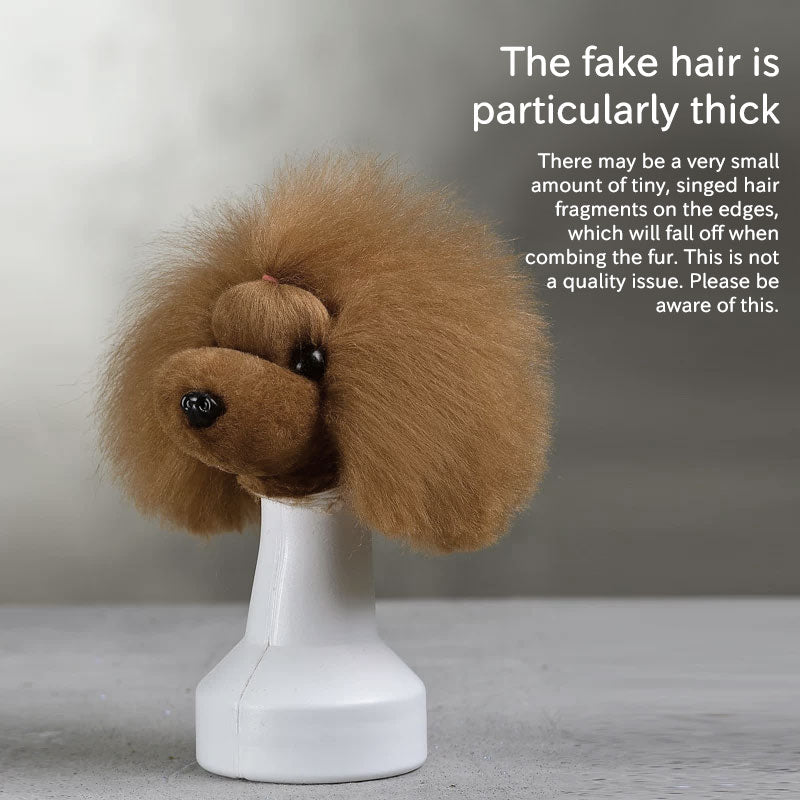 Tête d'Entraînement Toilettage Chien – Modèle pratique pour débutants
