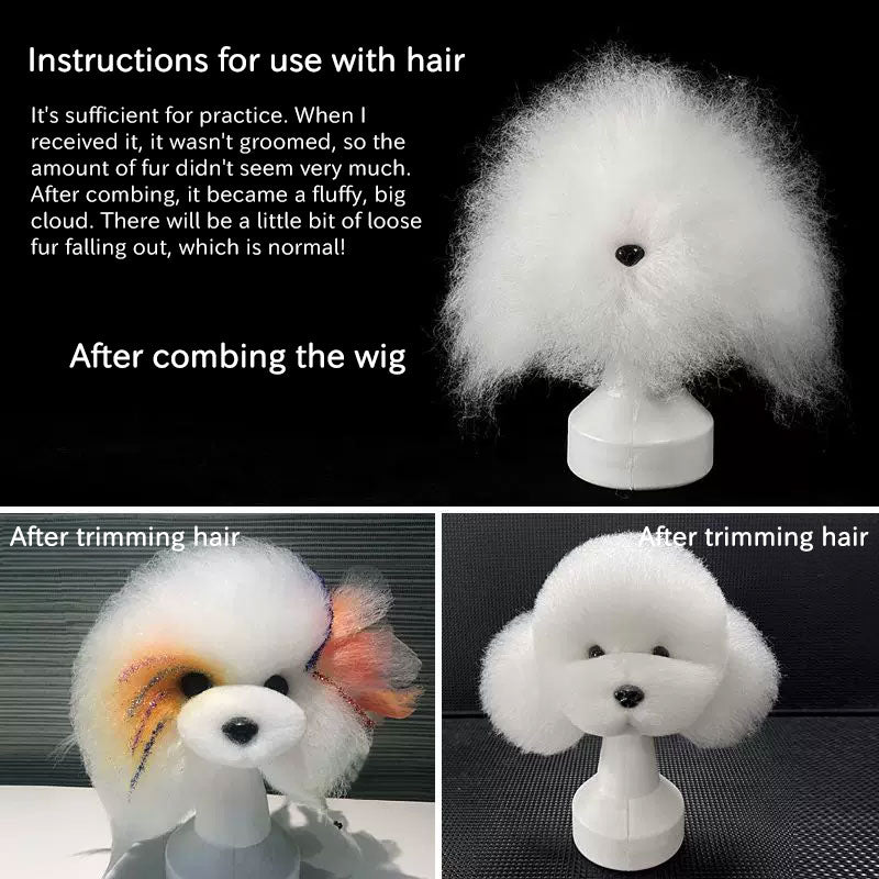 Tête d'Entraînement Toilettage Chien – Modèle pratique pour débutants