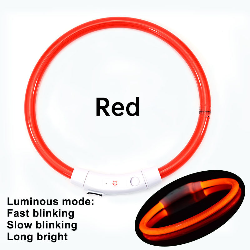 Collier LED Rechargeable pour Chien – 3 modes, sécurité nocturne