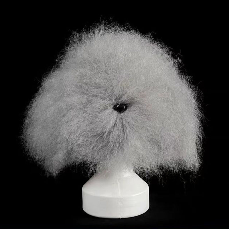 Tête d'Entraînement Toilettage Chien – Modèle pratique pour débutants