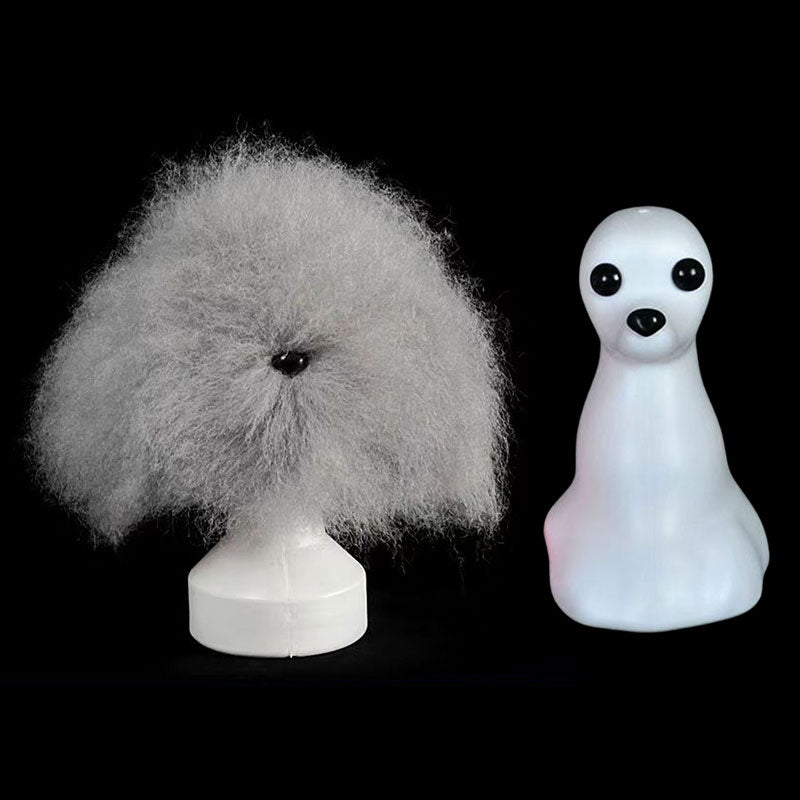 Tête d'Entraînement Toilettage Chien – Modèle pratique pour débutants