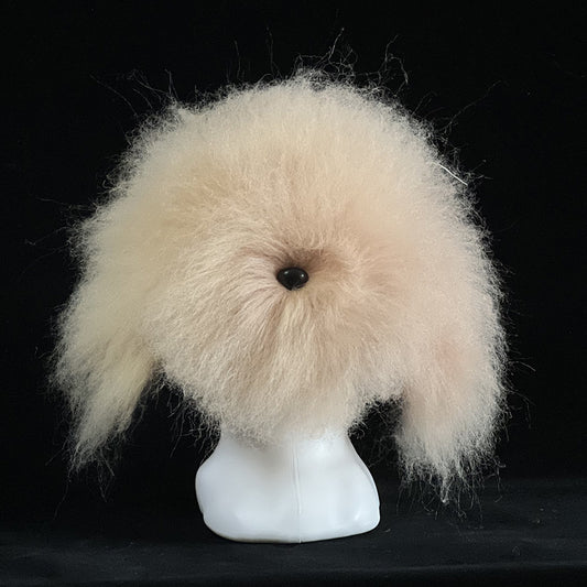 Tête d'Entraînement Toilettage Chien – Modèle pratique pour débutants