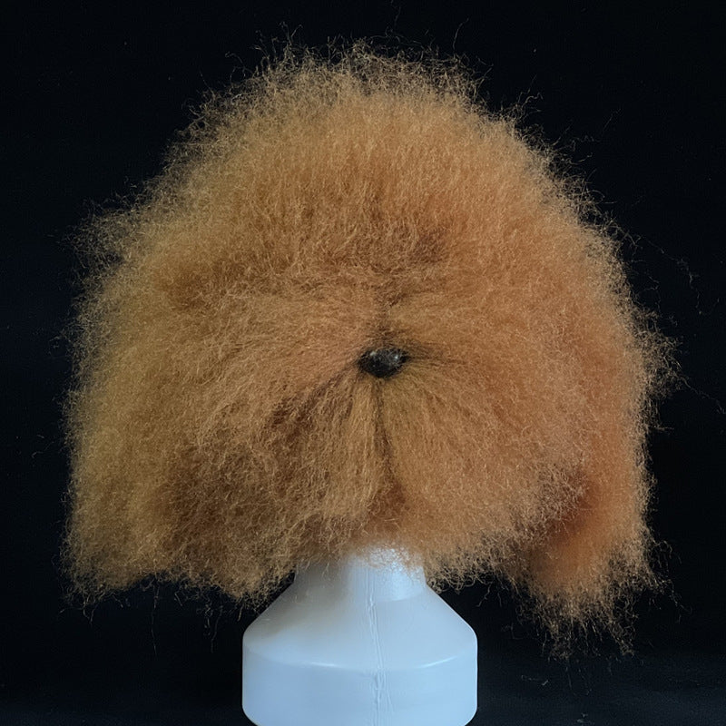 Tête d'Entraînement Toilettage Chien – Modèle pratique pour débutants