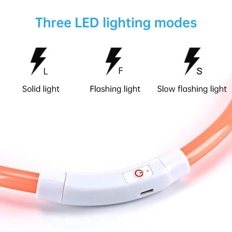 Collier LED Rechargeable pour Chien – 3 modes, sécurité nocturne