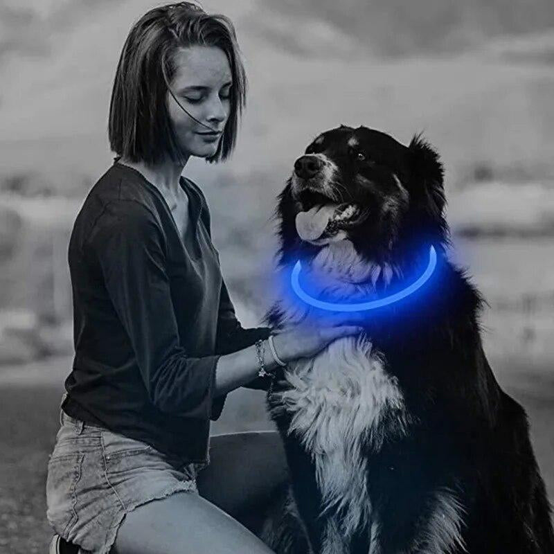Collier LED Rechargeable pour Chien – 3 modes, sécurité nocturne