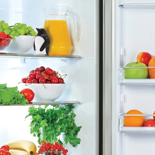 Kühlschrank-Deodorant Pinguin – Geruchsabsorber-Box