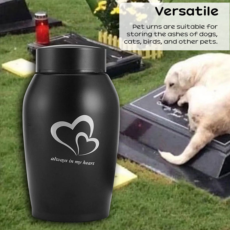 Urne Funéraire pour Animal de Compagnie – Acier inoxydable, 11 modèles