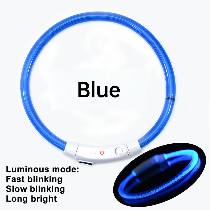 Collier LED Rechargeable pour Chien – 3 modes, sécurité nocturne