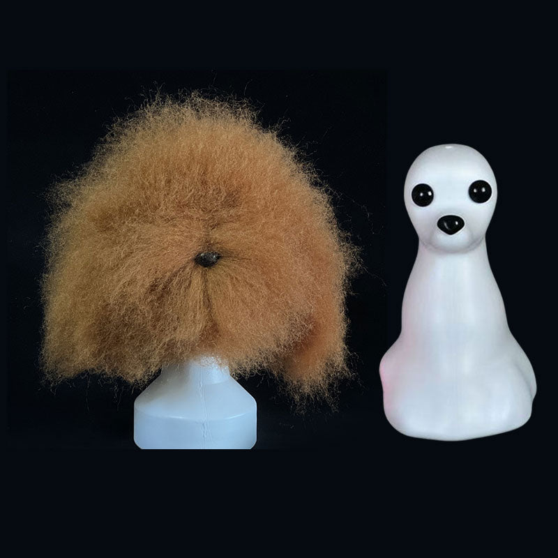 Tête d'Entraînement Toilettage Chien – Modèle pratique pour débutants