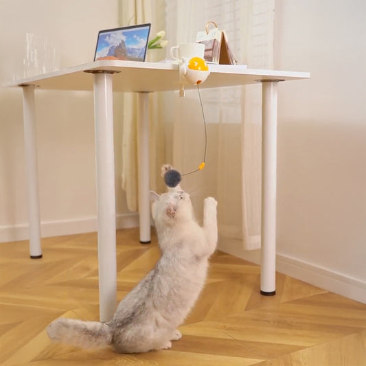 Balle Interactive Automatique pour Chat – Mouvement aléatoire & pompon