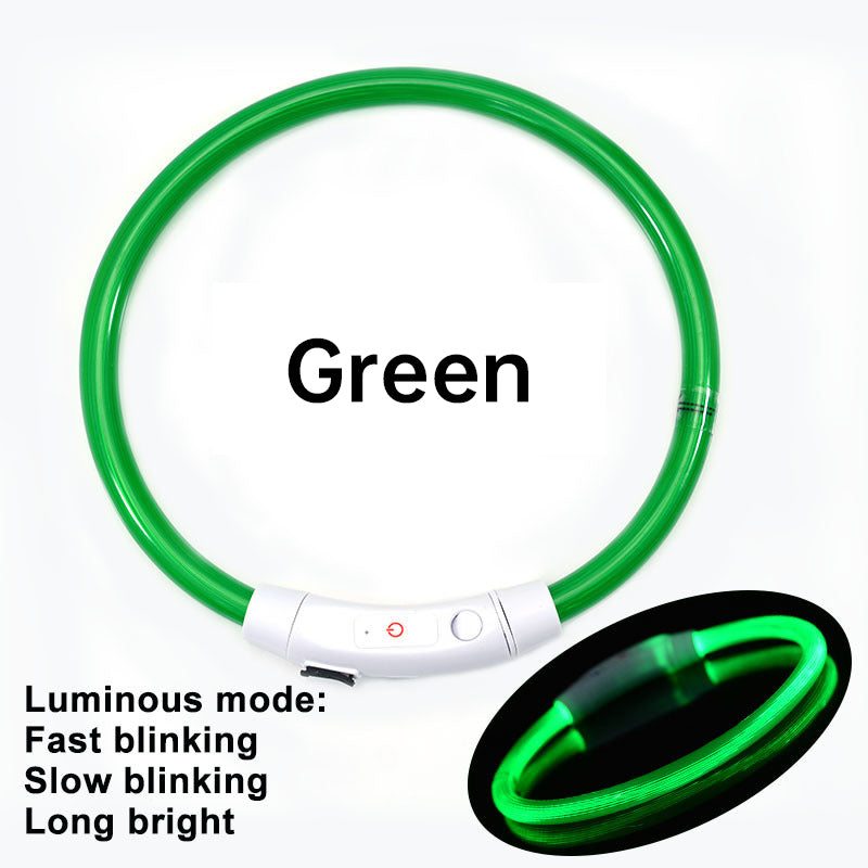 Collier LED Rechargeable pour Chien – 3 modes, sécurité nocturne