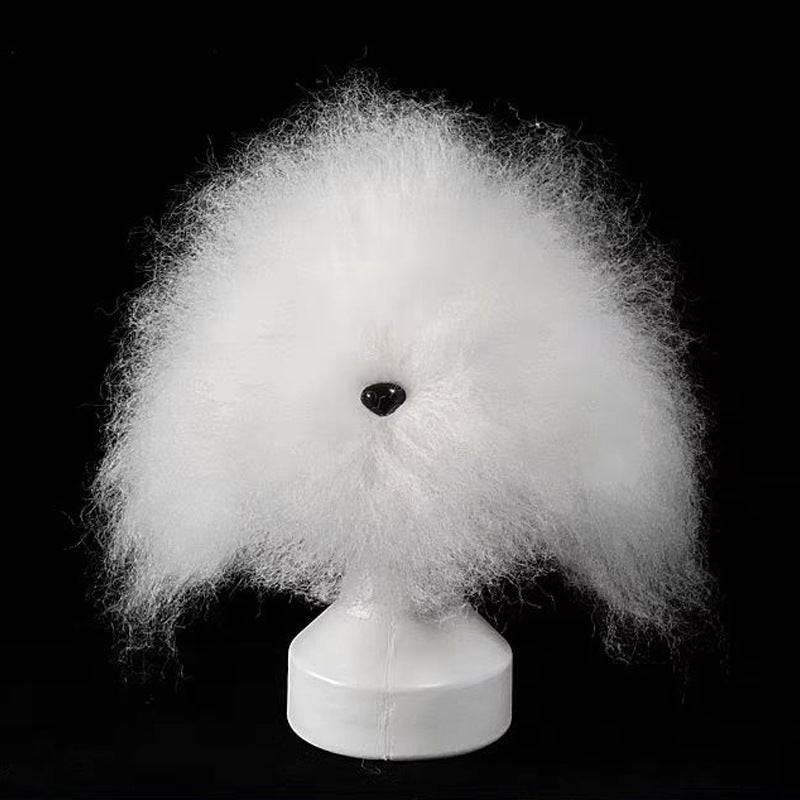 Tête d'Entraînement Toilettage Chien – Modèle pratique pour débutants
