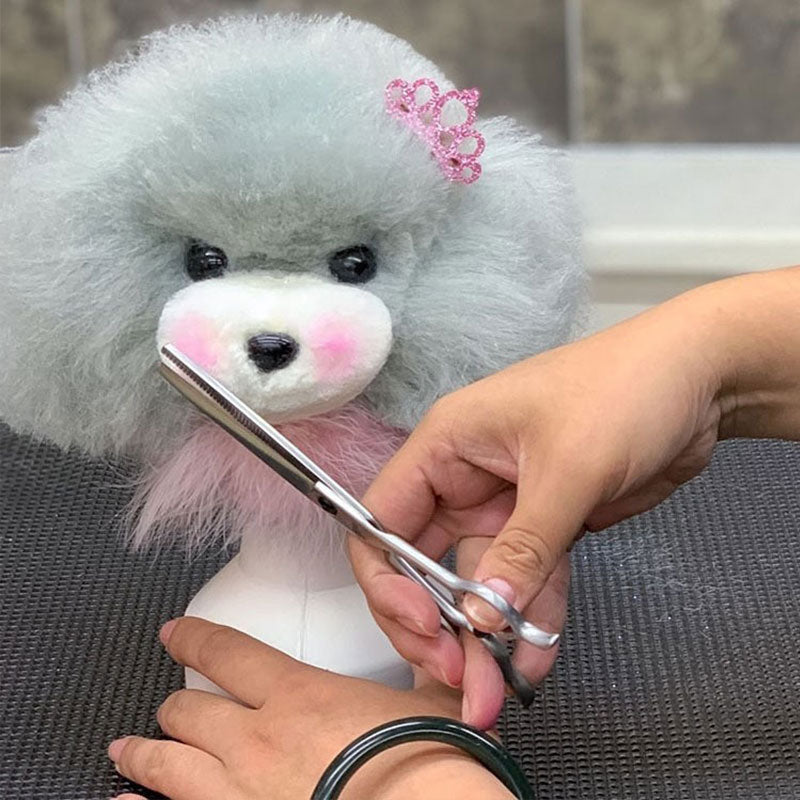 Tête d'Entraînement Toilettage Chien – Modèle pratique pour débutants