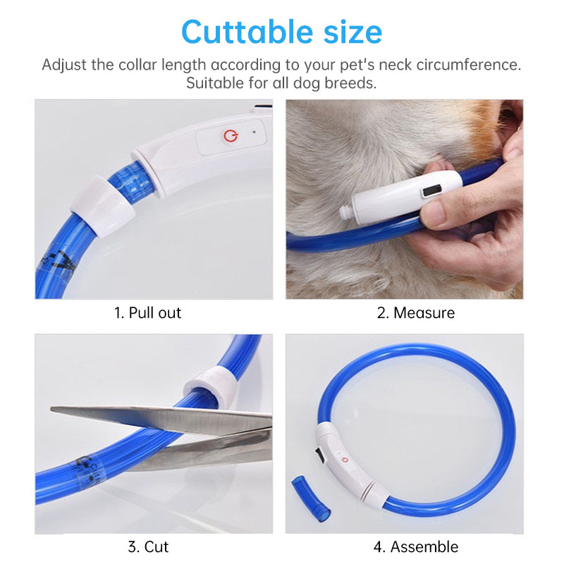 Collier LED Rechargeable pour Chien – 3 modes, sécurité nocturne